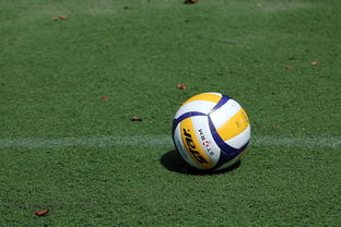 开云体育在线登入-女排世锦赛：中国队力压群雄，奖牌不断！，女排世锦赛名额